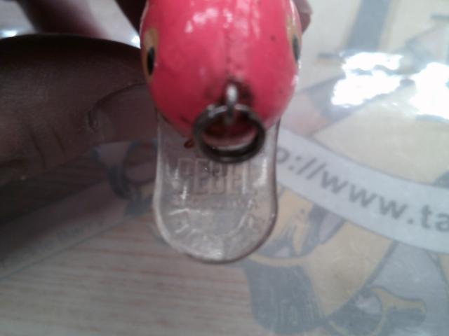 ﾊﾝﾌﾟﾊﾞｯｸ