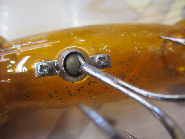 ﾄｳﾒｲﾁﾝﾁﾝ