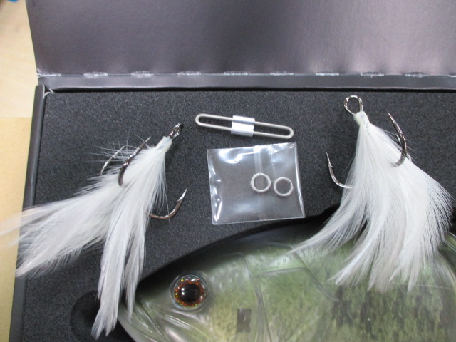 ｺｰﾄﾞﾈｰﾑﾊﾞｽ