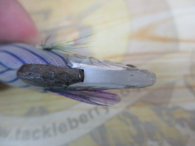 ｴｷﾞﾘｰ　ﾀﾞｰﾄﾏｯｸｽ　2.5号