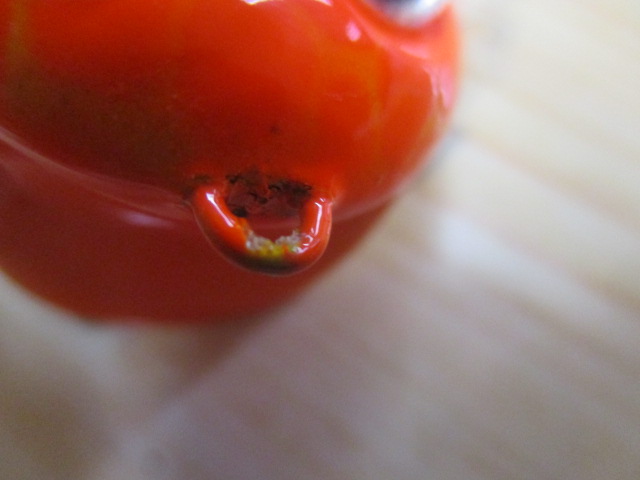 ﾌﾗｲﾀﾞｲﾊﾞｰ