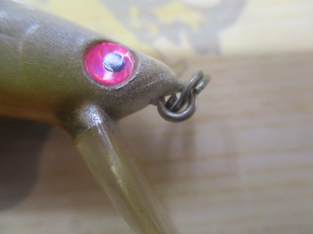 ショアラインシャイナー