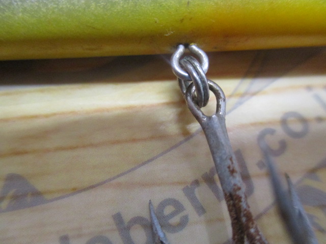 ショアラインシャイナー