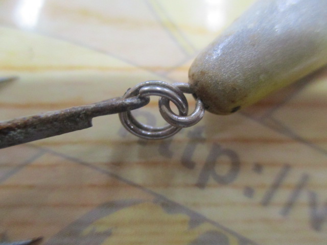 ショアラインシャイナー