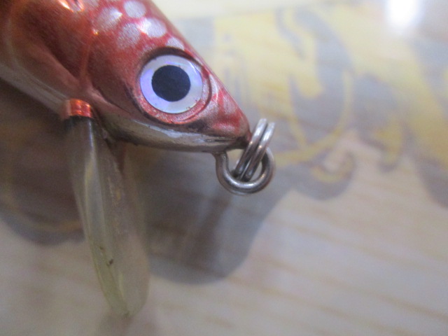 ｼｮｱﾗｲﾝｼｬｲﾅｰ