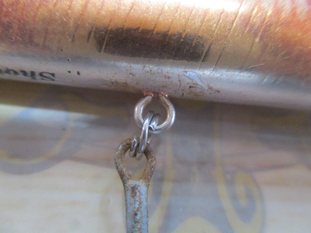 ｼｮｱﾗｲﾝｼｬｲﾅｰ