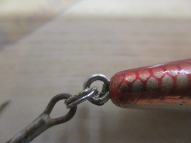 ｼｮｱﾗｲﾝｼｬｲﾅｰ