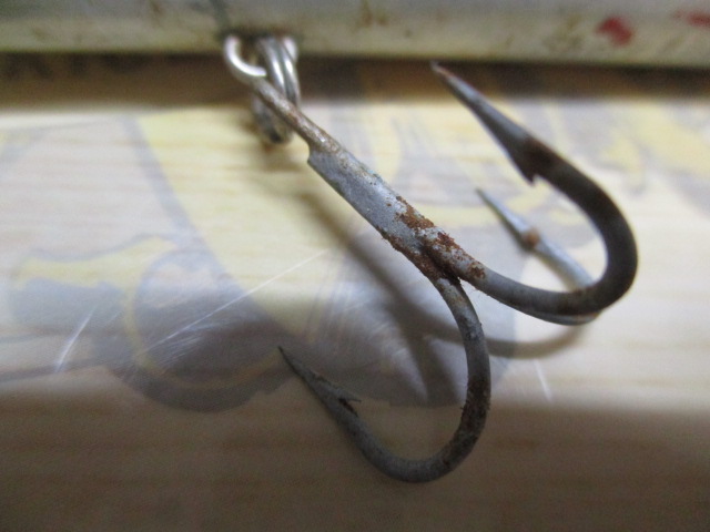 ｼｮｱﾗｲﾝｼｬｲﾅｰ　R40