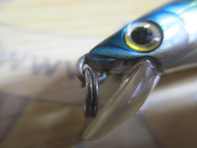 ｼｮｱﾗｲﾝｼｬｲﾅｰ　R40