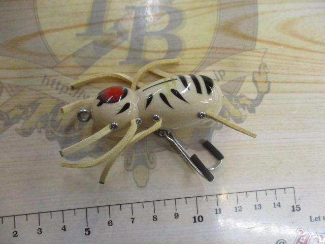 ｽﾊﾟｲﾀﾞｰﾚｯｸﾞｽ