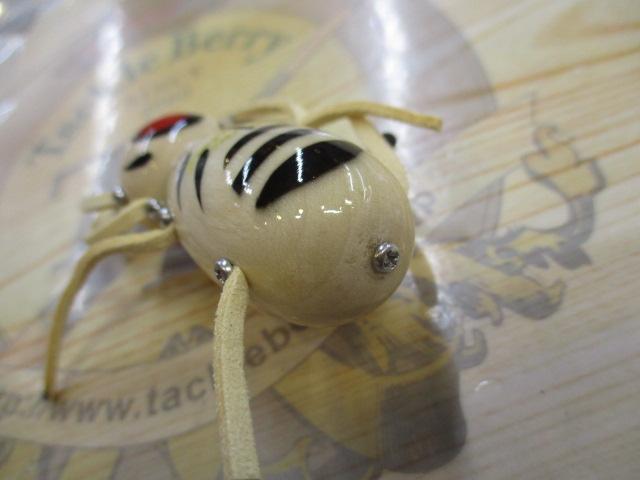 ｽﾊﾟｲﾀﾞｰﾚｯｸﾞｽ