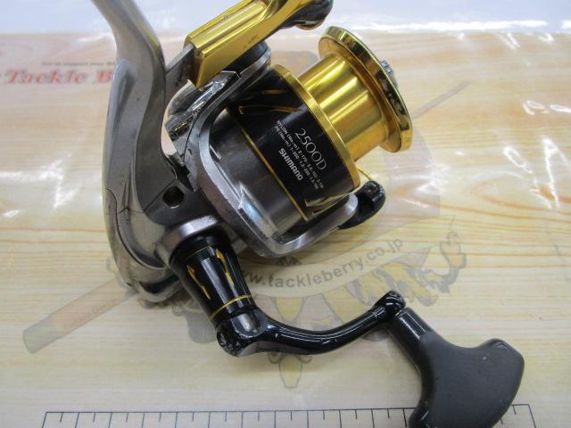 16BB-Xデスピナ 2500DXG