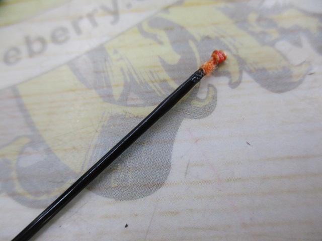 別作竹龍8.1高野竹