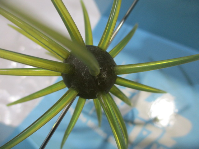 【ｾｯﾄ商品】ｺｲｹ17mm　ﾌﾙｷｬｽﾄｾｯﾄ