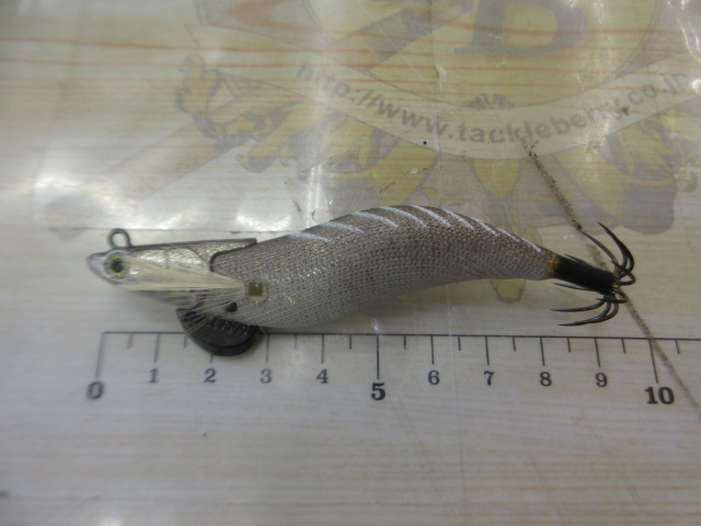 ｴｷﾞﾘｰ　ﾀﾞｰﾄﾏｯｸｽ2.5号②