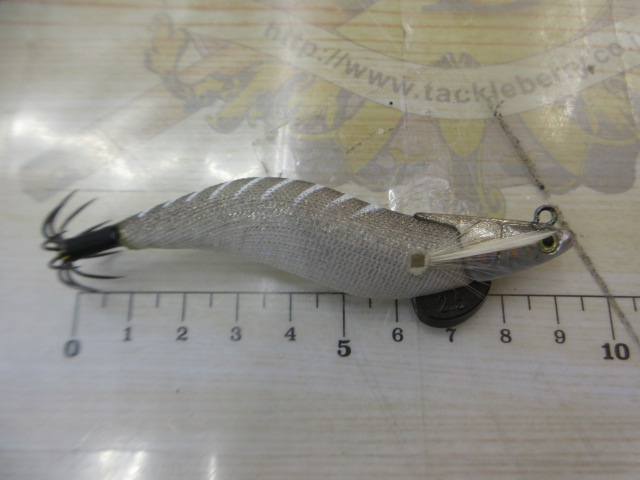 ｴｷﾞﾘｰ　ﾀﾞｰﾄﾏｯｸｽ2.5号②