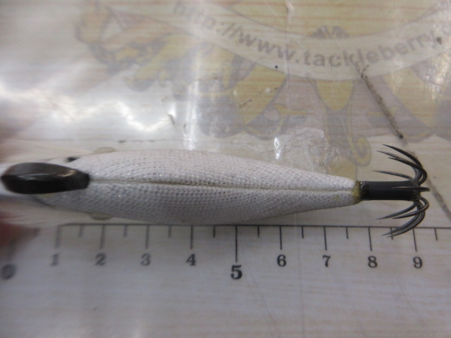 ｴｷﾞﾘｰ　ﾀﾞｰﾄﾏｯｸｽ2.5号②