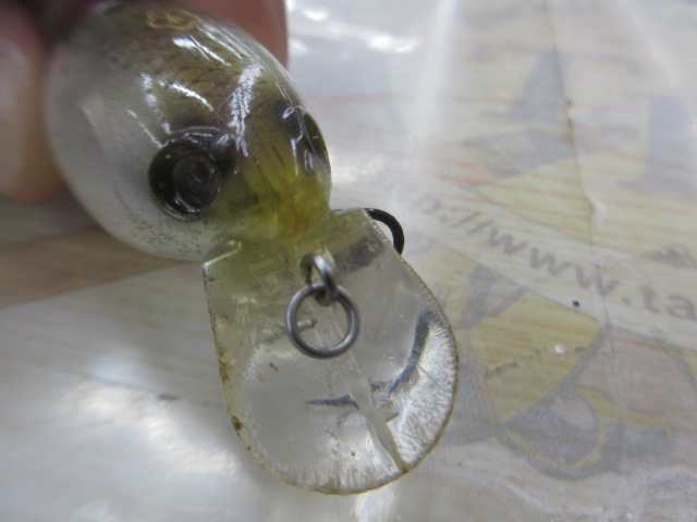 常吉　ﾅﾝｺｸﾗﾝｸ59SR