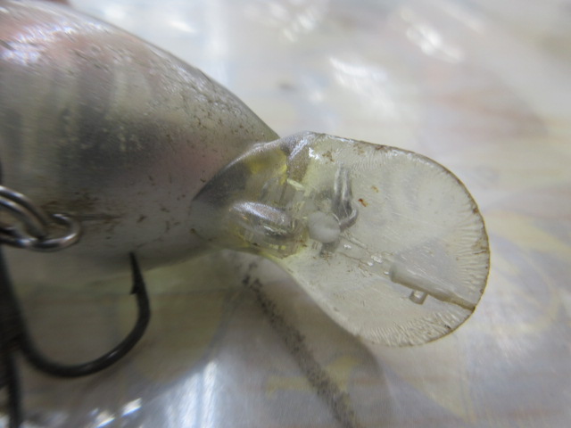 常吉　ﾅﾝｺｸﾗﾝｸ59SR