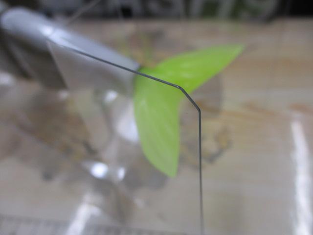 ｸﾗｯｼｭ9/LOW