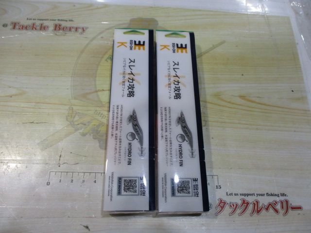 【ｾｯﾄ商品】ｴｷﾞ王K　10周年記念ﾓﾃﾞﾙ　2点ｾｯﾄ
