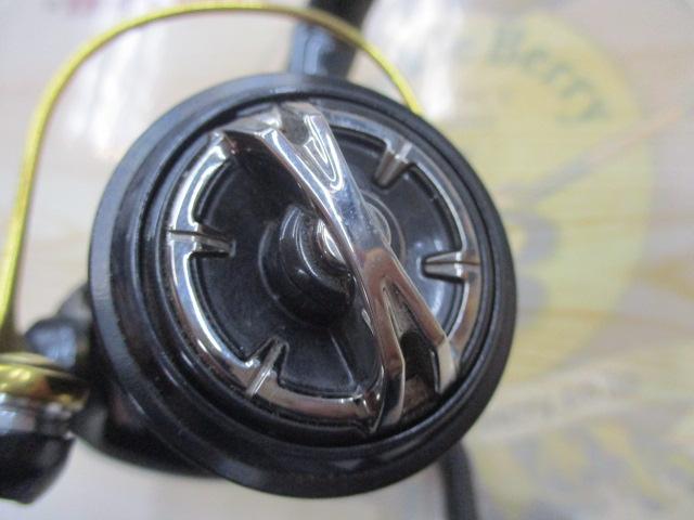 17ｳﾞｧﾝｷｯｼｭFWﾁｭｰﾝ 1000SHG