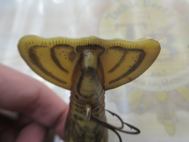 ﾚｰﾍﾞﾙ　ｸﾛｰﾌｨｯｼｭ