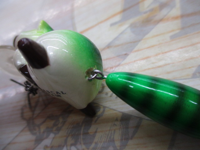 あらいぐま　ﾗｽｶﾙﾙｱｰ