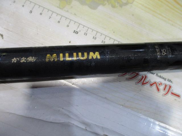 がま鮎ﾐﾘｱﾑ 引抜荒瀬95