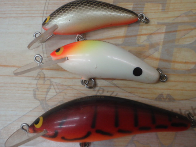 【ｾｯﾄ商品】ｽﾞｲｰﾙ･ｻﾞｳﾙｽﾙｱｰｾｯﾄ