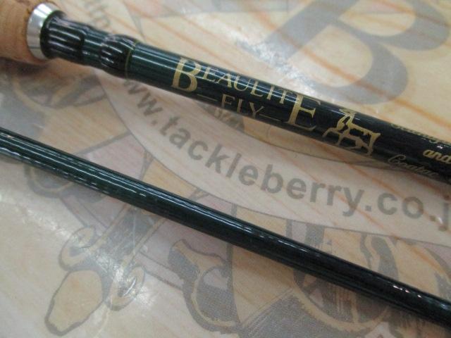 ﾋﾞｭｰﾗｲﾄﾌﾗｲ 6.0#4