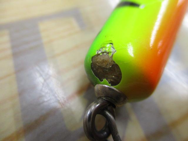 ﾊﾞﾙｻ50 ﾋﾞｯｸﾞﾗｯｼｭ