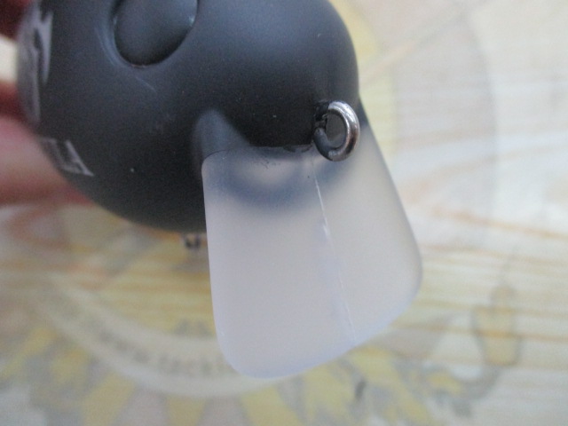 ﾒｶﾞﾋﾟｰﾅｯﾂ#ﾀﾄｩｰﾗ