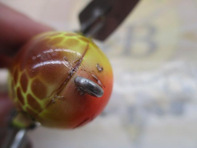 クレイジークローラー