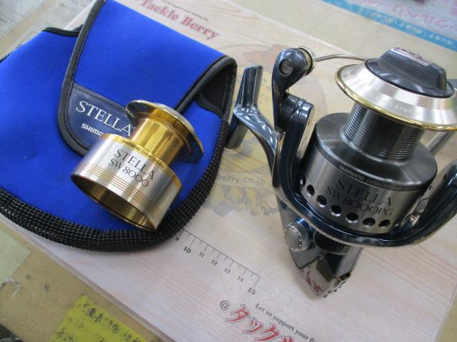 01ｽﾃﾗSW 8000PG