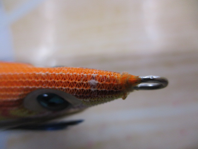 【セット商品】ヤマリアエギセット!