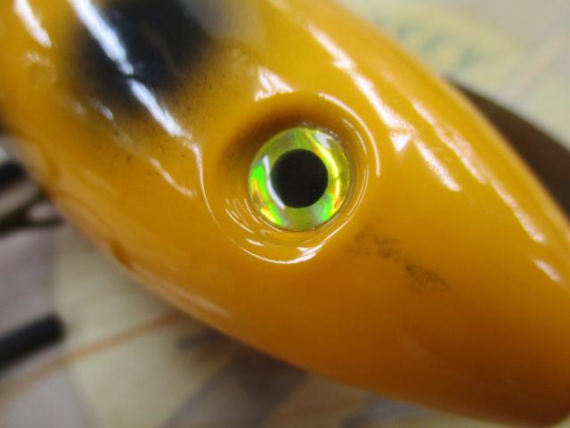 ﾀｲﾗﾝﾄ ﾃﾞｨｸﾃｰﾀｰ