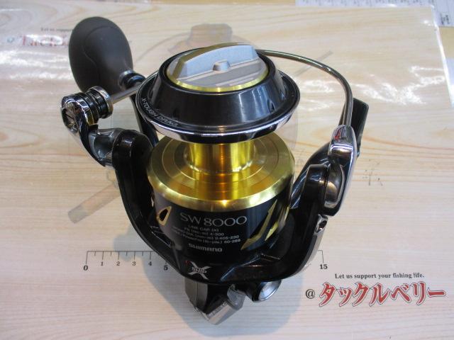 13ｽﾃﾗSW 8000PG