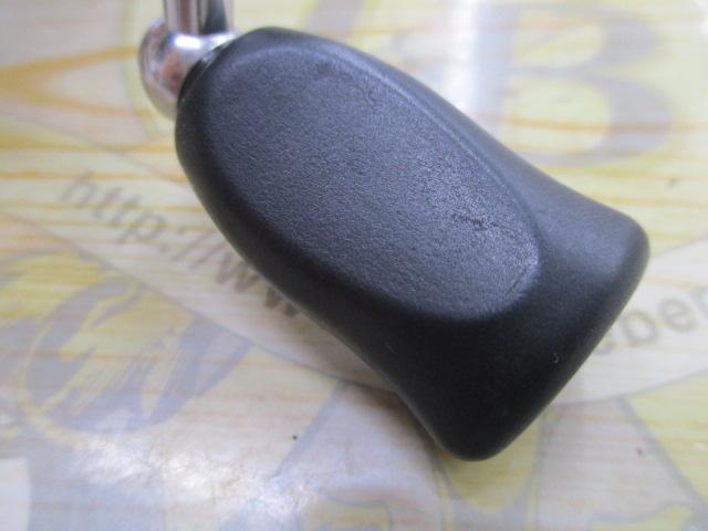 インフィート月下美人 2004