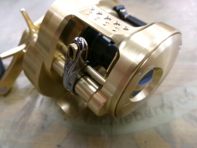 21ｶﾙｶｯﾀｺﾝｸｴｽﾄ 100HG