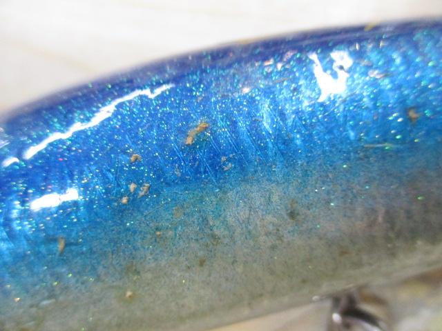 ブルーフィッシュ100