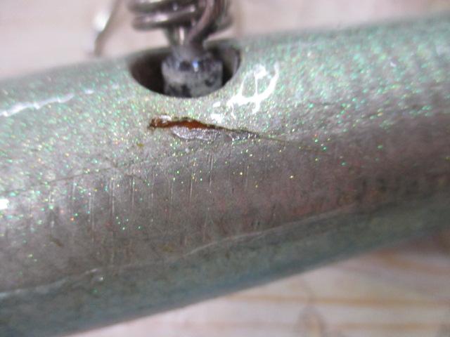 ブルーフィッシュ100