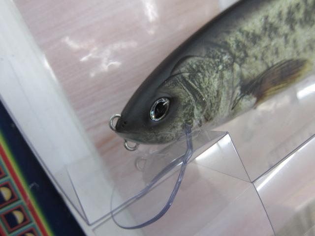 ｸﾗｯｼｭｺﾞｰｽﾄ