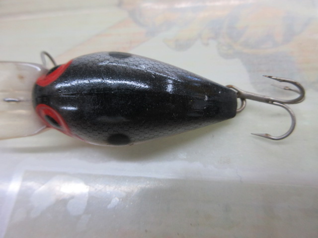 ウイグルワート