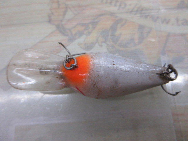 ウイグルワート