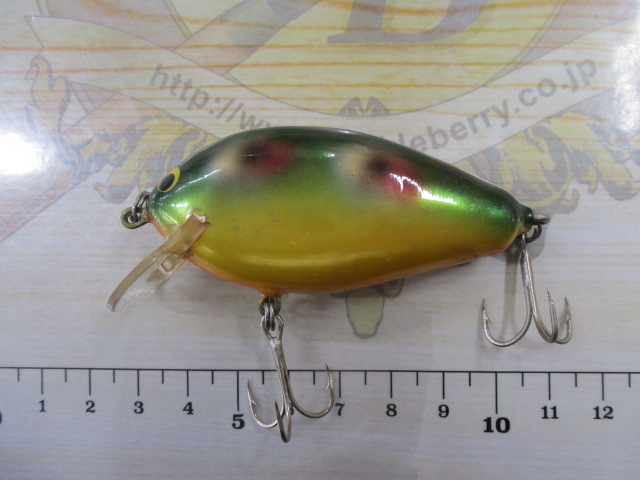 エクストリームバグリー401 ガッテル