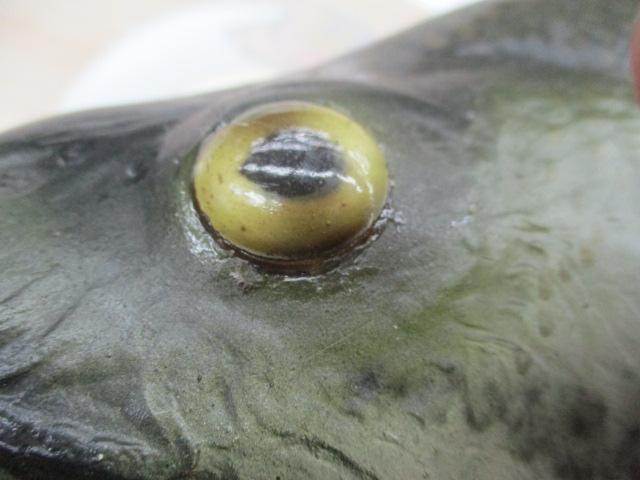 ブラックバスオールド