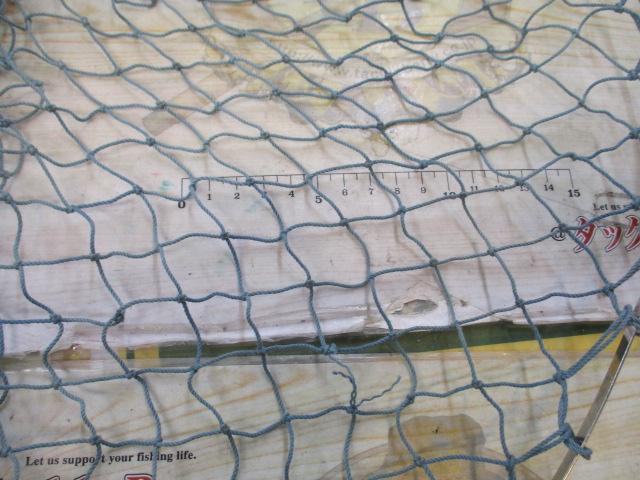 ｲﾝｽﾀﾈｯﾄ