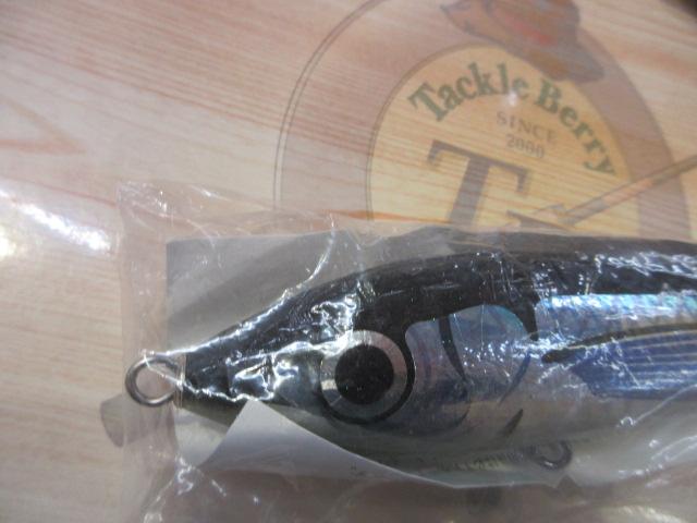 ﾌﾞﾙｰﾌｨｯｼｭ120