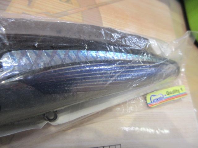 ﾌﾞﾙｰﾌｨｯｼｭ120